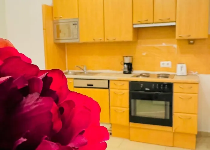 Cozy&stylish Near Augarten Park Apartment